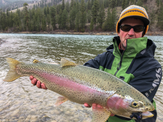 currier-huge-trout