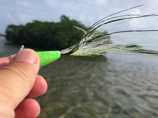 popper-fishing