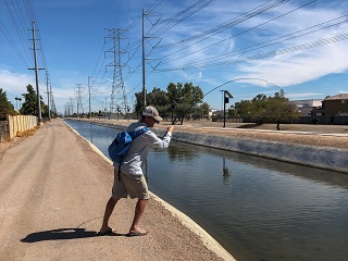 fish-arizona