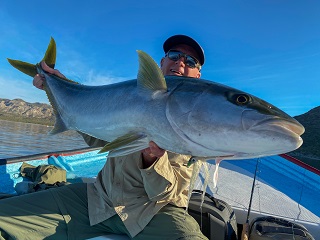 Sam-Vigneri-Yellowtail