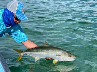 Currier-catch-and-release