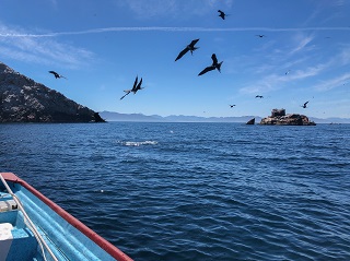 saltwater-flyfishing