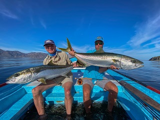 Yellowtail-fishing