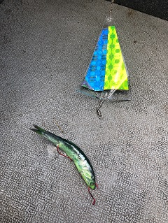 Spring-Chinook-Salmon