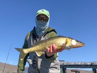 walleye-fishing