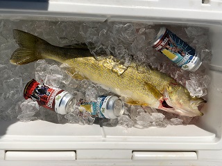 walleye