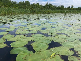 wolfeboro-new-hampshire