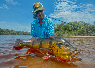 Currier-peacock-bass