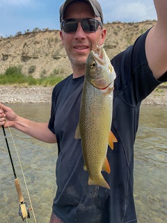 cutthroat-trout