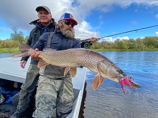 Midnight Sun Trophy Pike Adventures