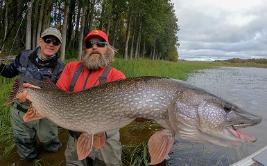 huge-pike