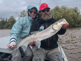 Midnight-Sun-sheefish