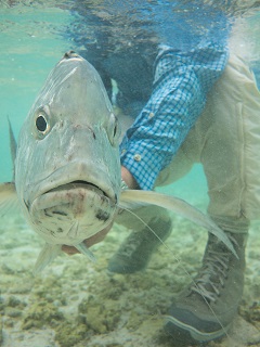 Yellow-Dog-Flyfishing
