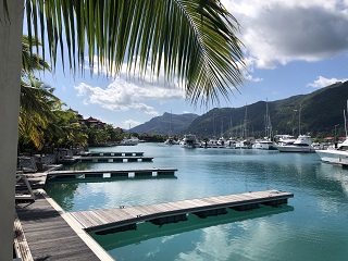 flyfihsing-seychelles