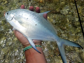 flyfishing-pompano