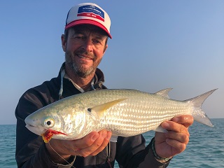 Currier-mullet-on-fly