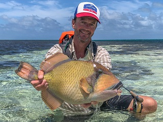 Currier-mustache-triggerfish