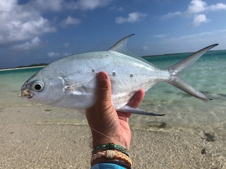 Pompano