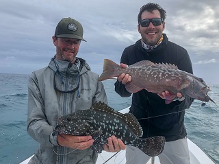 Currier-Iannocchione