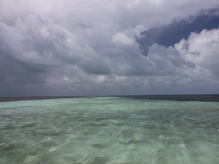 saltwater-flyfishing