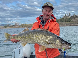 Currier-walleye