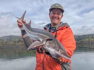 Jeff-Currier-sturgeon-on-fly