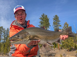 Currier-bull-trout