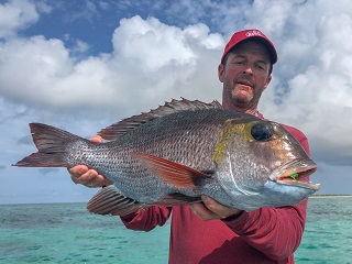 Jeff-Currier-bigeye-emperor