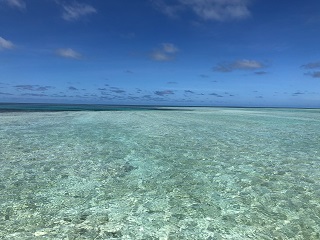 saltwater-flyfishing