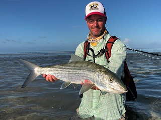 Currier-bonefish