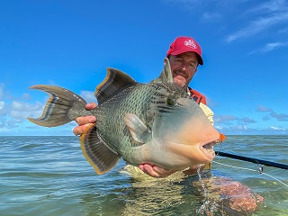 Currier-yellowmargin-trigger