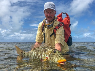 Currier-yellowlip-emperor