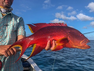 flyfishing-for-grouper