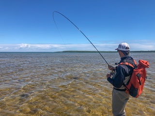 Currier-Lake-Michigan