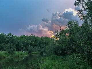 flyfishing-the-Northwoods