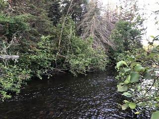 small-streams