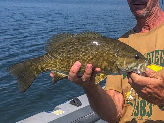 smallmouth-bass