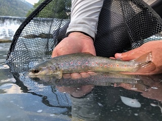flyfishing-Europe