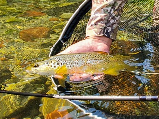 flyfishing-Italy