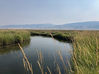 Flat-Creek