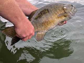 smallies