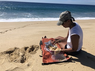 saltwater-flyfishing