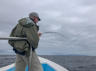 marlin-on-fly
