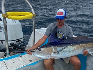 Currier-striped-marlin