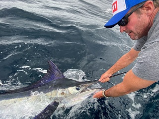 marlin-release-Currier