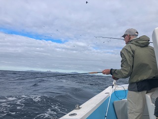 flyfishing-for-marlin