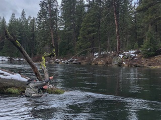 Metolius-River