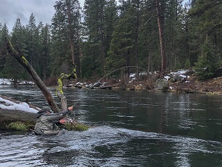 Treated to a Day on the Metolius River – Jeff Currier