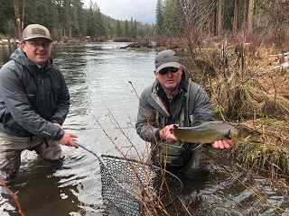 bull-trout