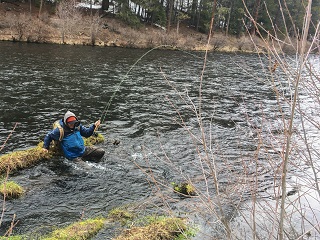 Jeff-Currier-Yeti-Panga